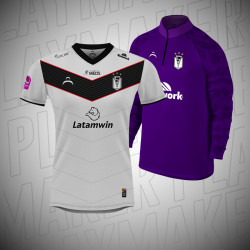 Poleron + Camiseta oficial...